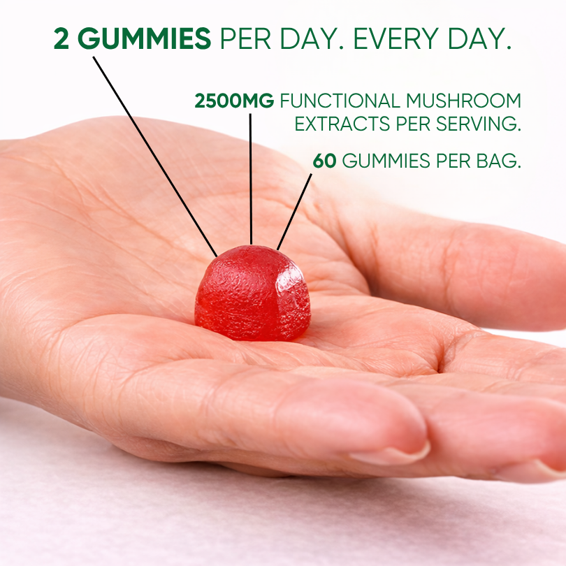 Mushroom Gummies